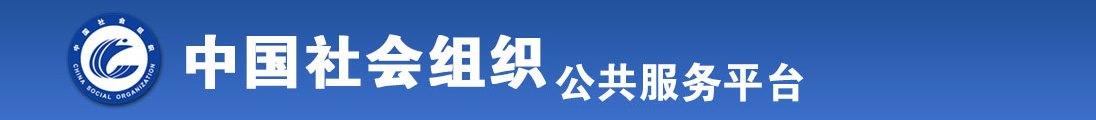 大鸡巴插免费在线桃色全国社会组织信息查询